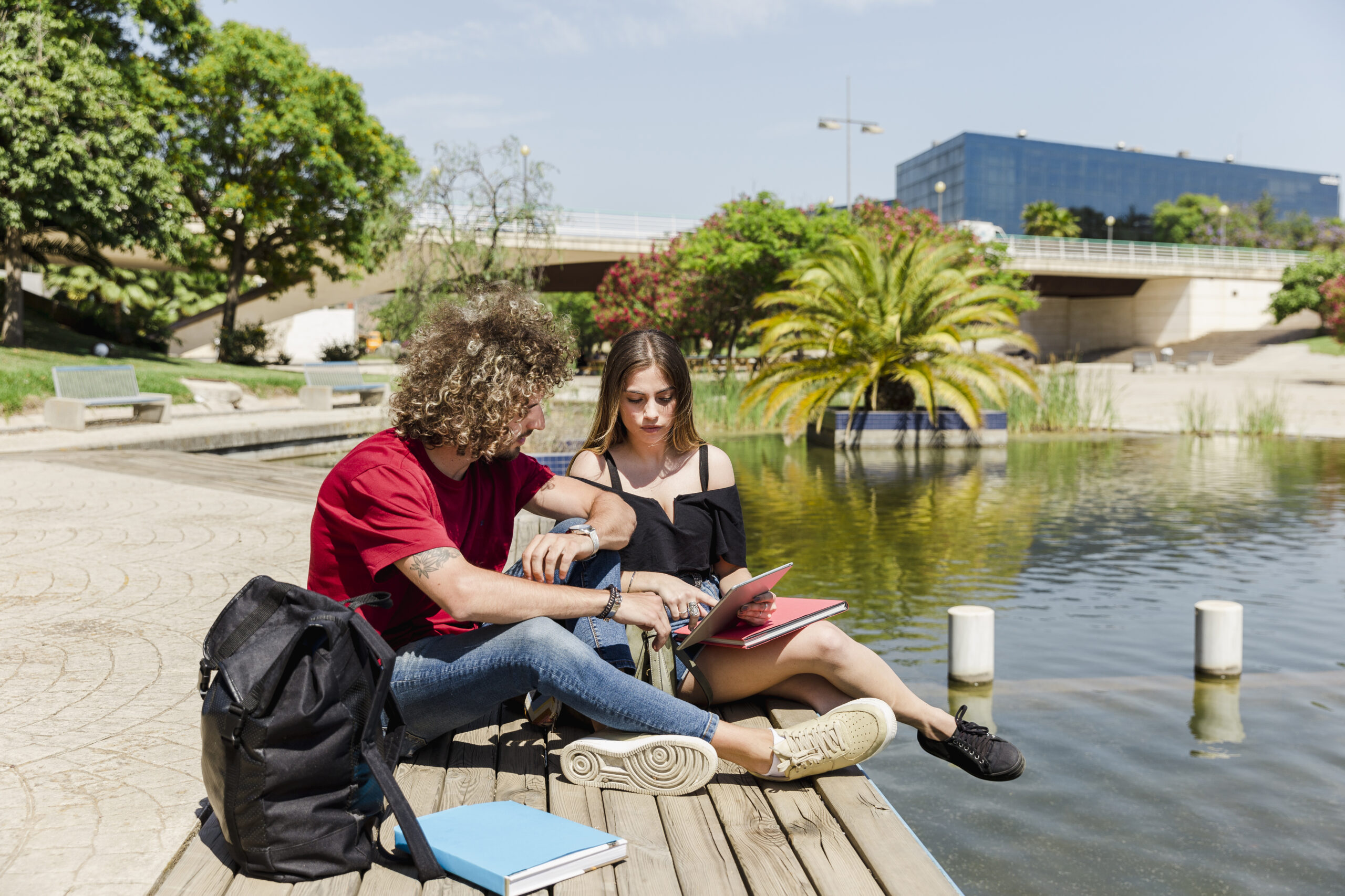 Study in New Zealand